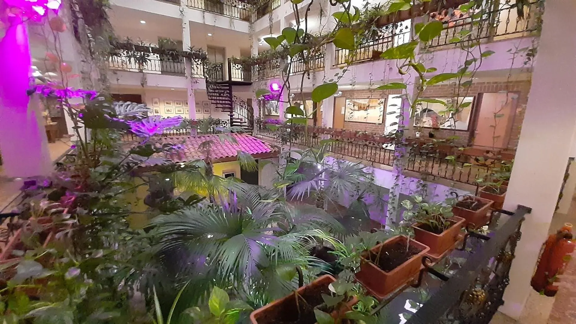 Solitaire Hotel Berlin